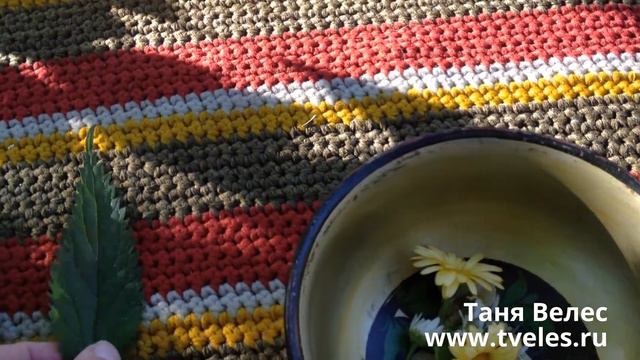 Оздоровительные чаи. Часть 10. Желудок смотреть онлайн