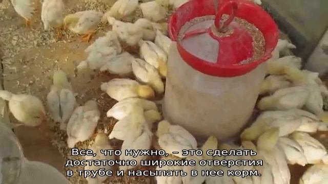 Кормушка для цыплят своими руками смотреть онлайн