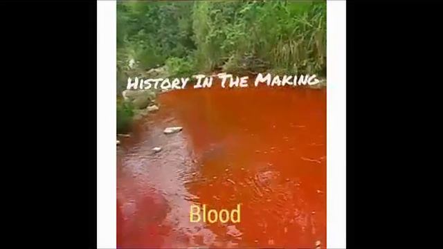 River Turns red deep inside of Jamaica,believe it or not смотреть онлайн