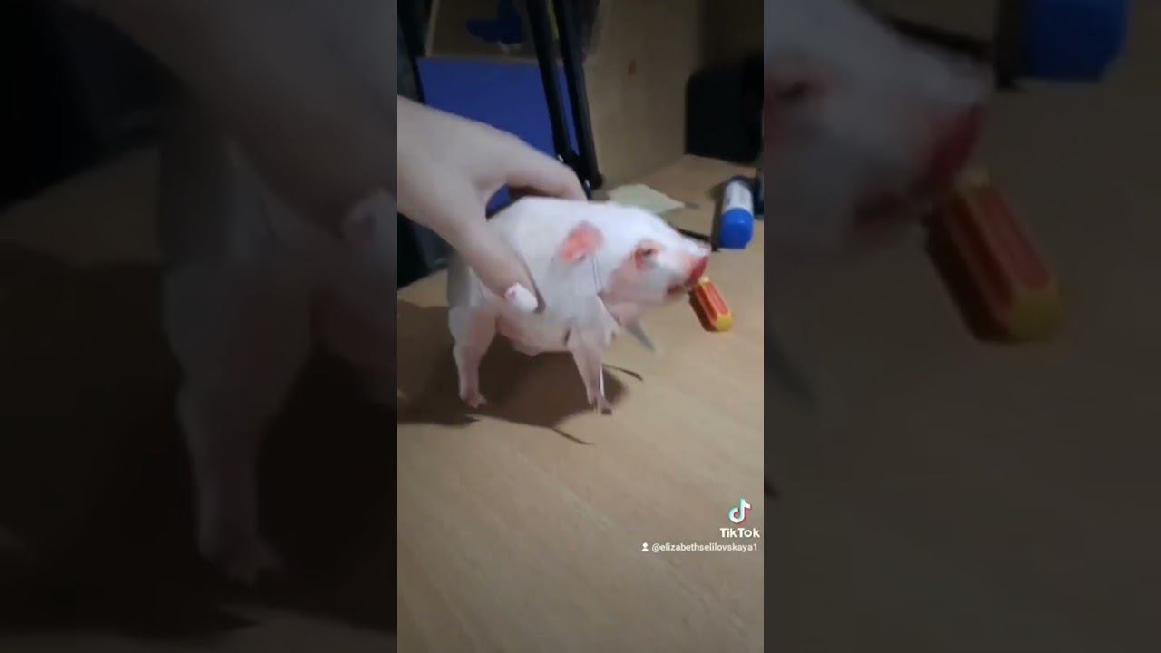 Кобяково городище #shorts смотреть онлайн