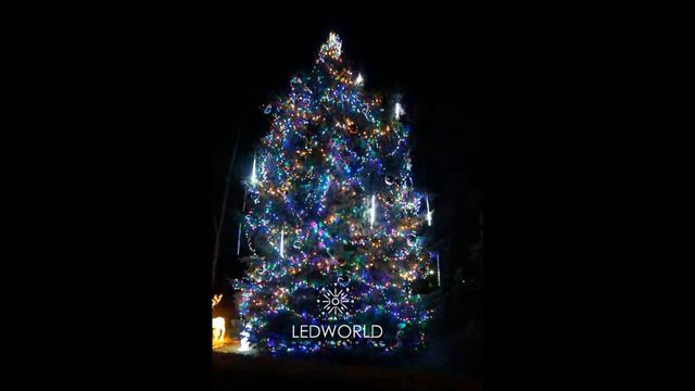 Новогоднее иллюминация елки компанией LEDWORLD смотреть онлайн