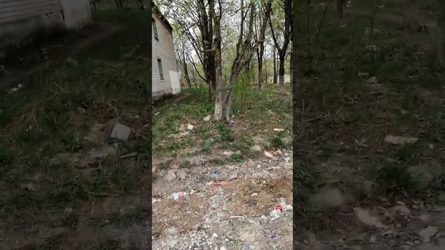 18+ ПОМОЙКА ОКОЛО ОБЩАГИ д. 21 д. Жилетово Дзержинский район 27.04.2023 смотреть онлайн
