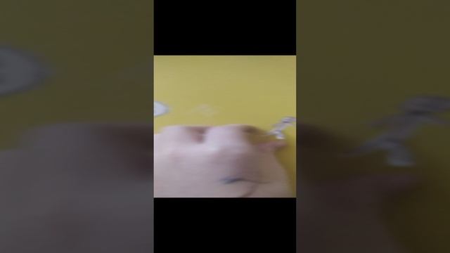 БЗОК 10:рекомендовать. смотреть онлайн