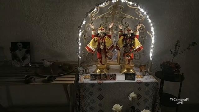 Према Гауранга. Прямая трансляция смотреть онлайн