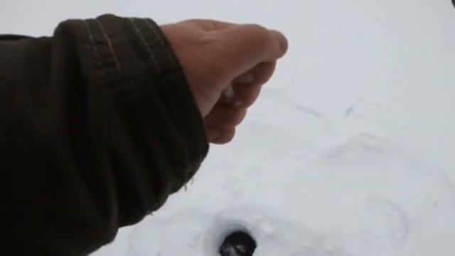 Щука пока активнее налима. Жерлицы на слиянии двух рек. Проверка через сутки смотреть онлайн