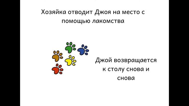 Энтлебухер зенненхунд выпрашивает еду со стола. Что делать? смотреть онлайн