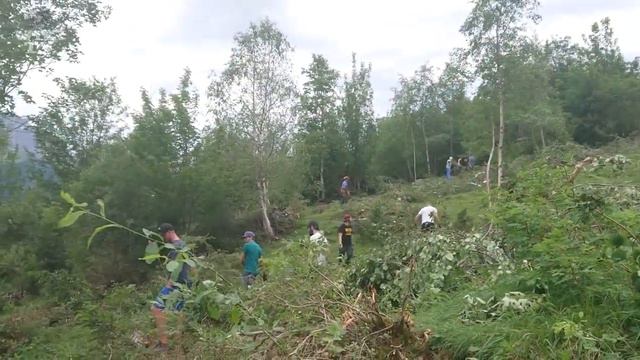 WIKI Teamevent 2019 смотреть онлайн