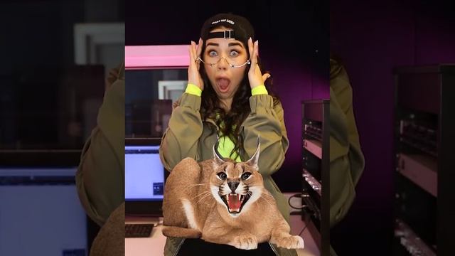 ИМИТАЦИЯ ЗВУКОВ. Пародия животных и птиц. Как научиться озвучивать персонажей?