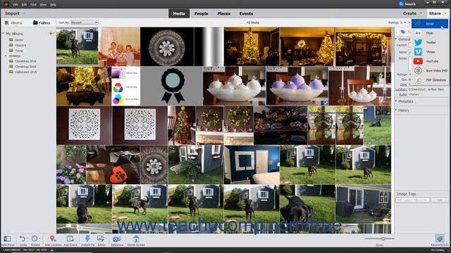 Photoshop Elements 2020 Tutorial Sharing Your Creations Adobe Training