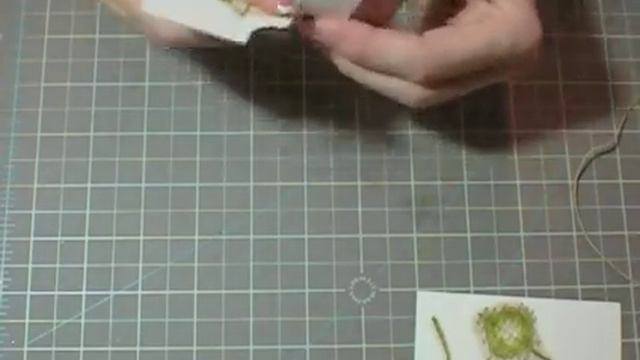 Faith In Nature Thanksgiving Card смотреть онлайн