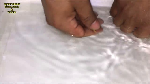 White Cichlid Fish gave birth to 50 babies ???? смотреть онлайн