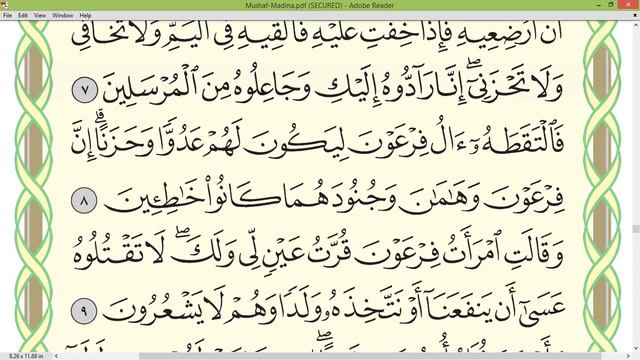 Practice Reciting With Correct Tajweed - Page 386 (Surah Al-Qasas)