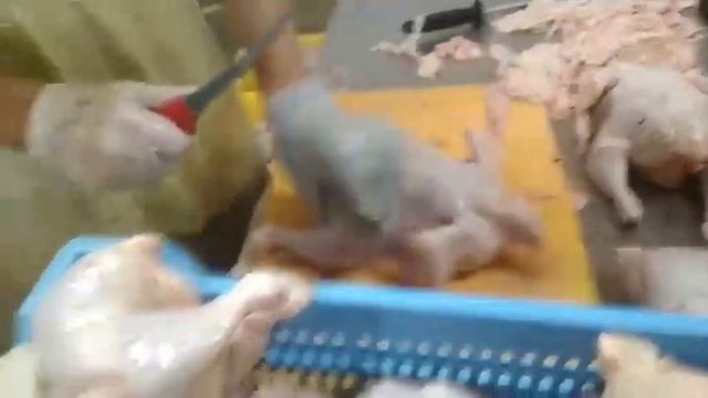 Быстрая разделка курицы