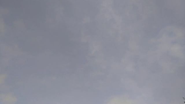 Остались чайки в городе на Новый год смотреть онлайн