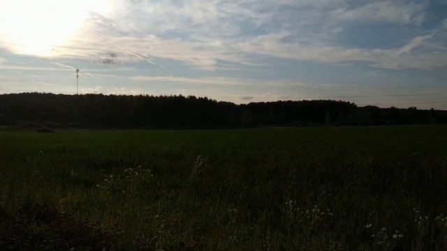 Летний Вечер. смотреть онлайн