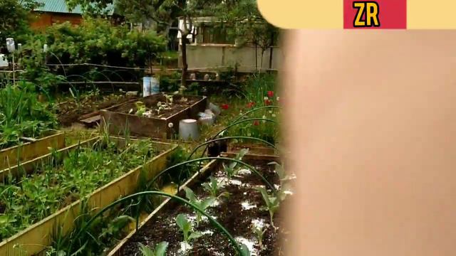 На даче//мой день//Моё утро///мне грустно///Zari Riella. смотреть онлайн