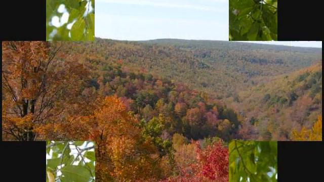 Send me on my way- Rusted Roots смотреть онлайн