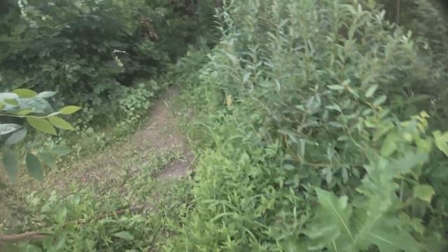 Рыбалка с рогаткой. Лобастый (Fishing with a slingshot) смотреть онлайн