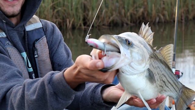 HUGE Fish Destroys Lure While Kayak Fishing! Fish of a LIFETIME! смотреть онлайн