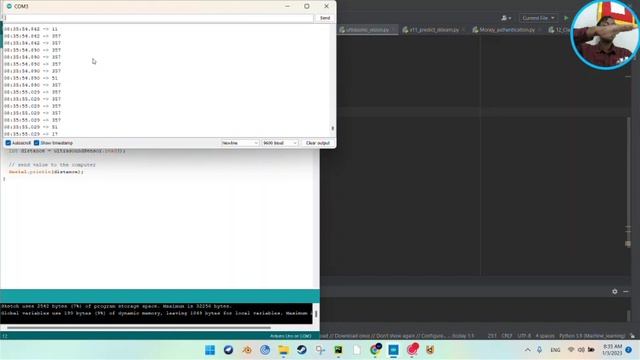 BAT VISION - Ultrasound Sensor test using C++ and Python смотреть онлайн