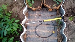 ЧЕМ ОТМЫТЬ ДЕГОТЬ