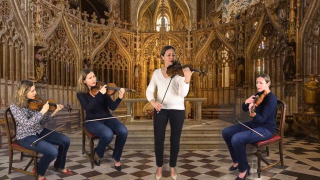 Gluck - Melodie (violin) смотреть онлайн