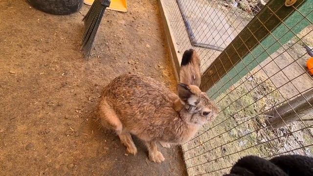 Почему Джасти злилась? смотреть онлайн