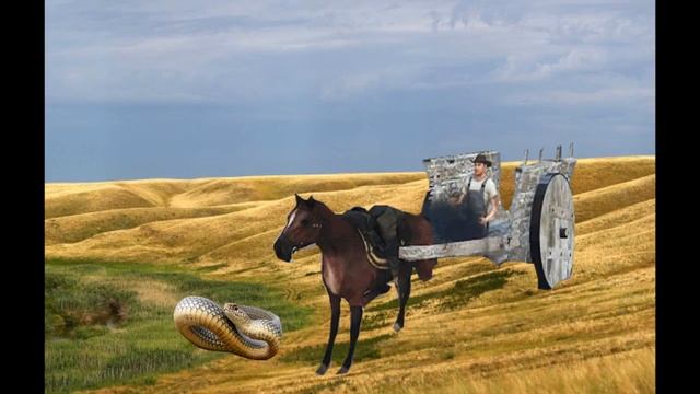 Змея ломает ноги! ШОК КОНТЕНТ! смотреть онлайн