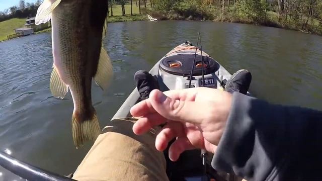 Ohio Kayak bassin! LETS DO A GIVEAWAY! смотреть онлайн