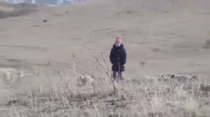 Эки аъттын ээзи   Тыва кино