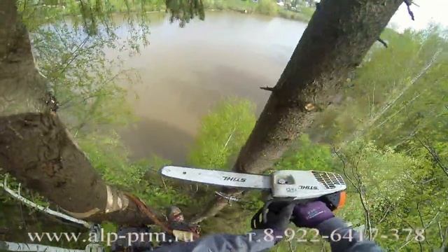 Спилить дерево по частям. смотреть онлайн