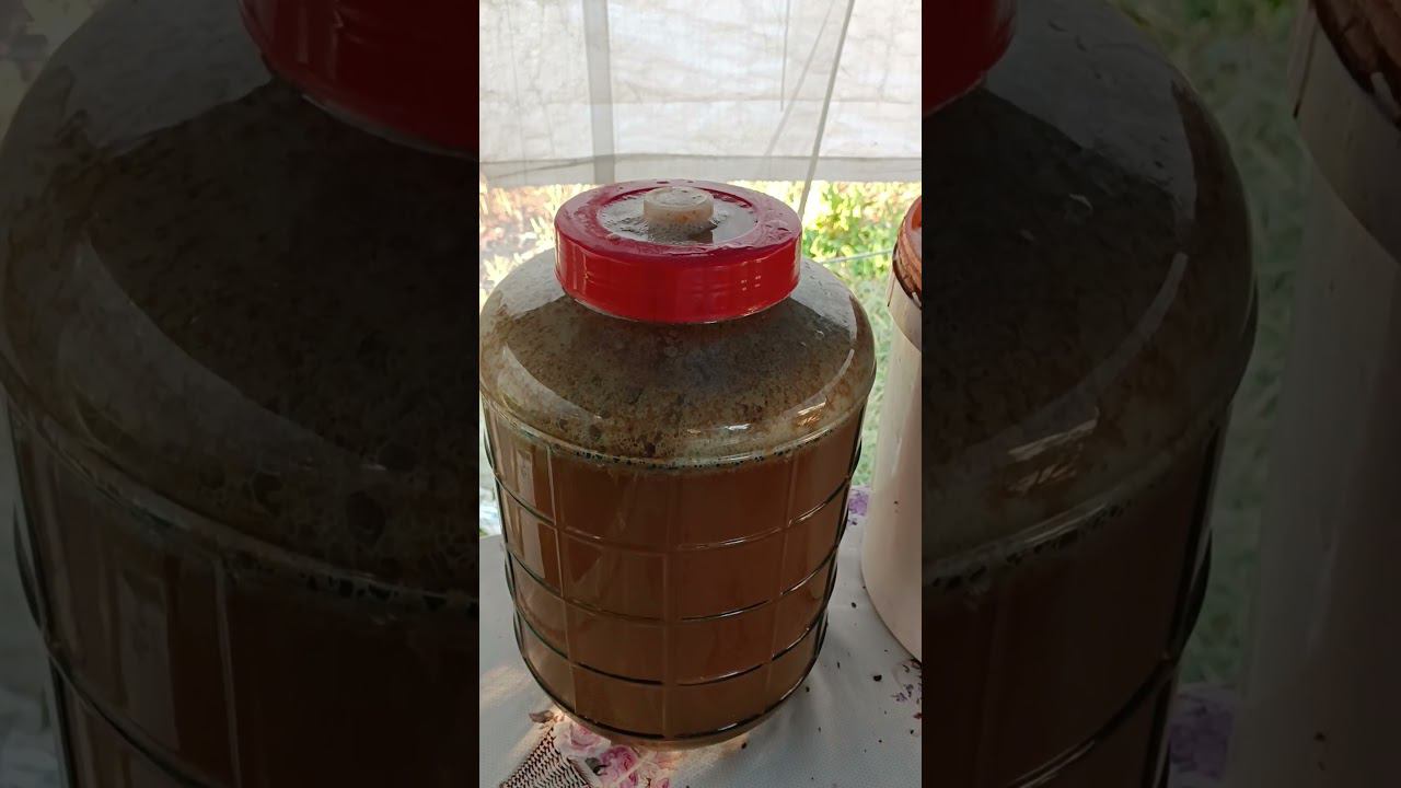 Сидр делает себя сам... Пока все спят 31 августа 6 утра #shorts #добрыйжар #рецептыдобрыйжар смотреть онлайн