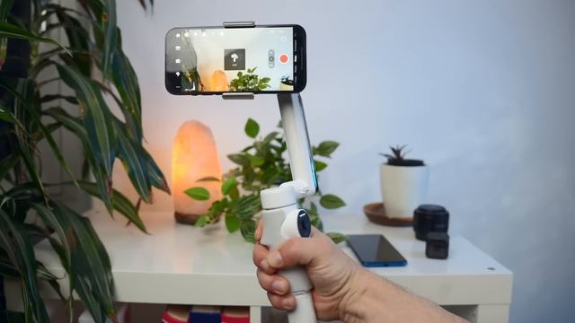 Insta360 Flow Full Tutorial: The Best Features Explained