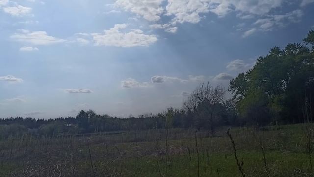 27 мая народный праздник Сидор Бокогрей. Что нужно обязательно сделать... Народные приметы смотреть онлайн