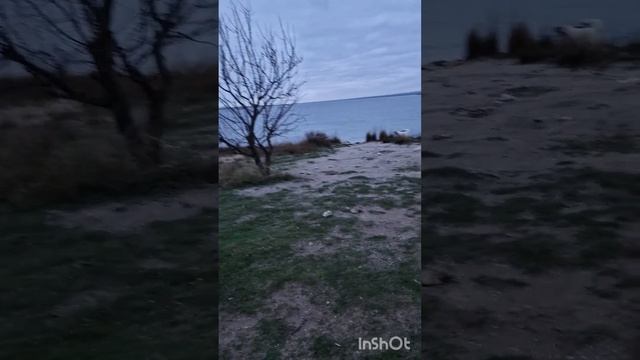 Честер и Бэлла ?Прогулка под дождём ? смотреть онлайн