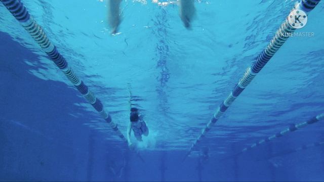 БРАСС. КАК НАУЧИТЬСЯ ПЛАВАТЬ БРАССОМ. УРОК №1 РАБОТА НОГ.