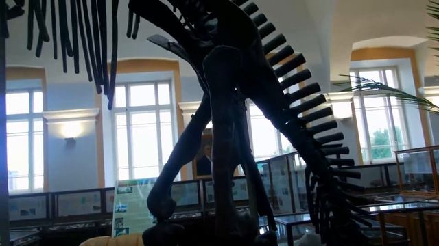 Музей Геологического комитета смотреть онлайн