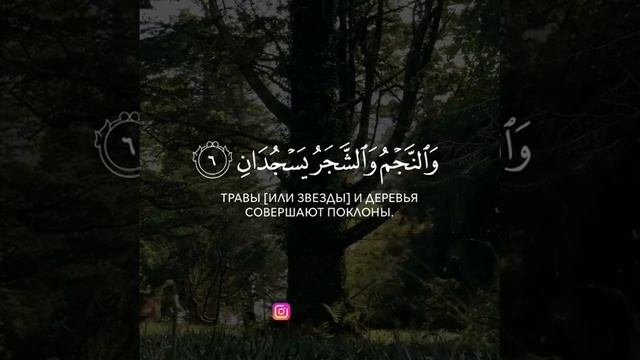 Сура Ар-Рахман | Аят 1:9 смотреть онлайн