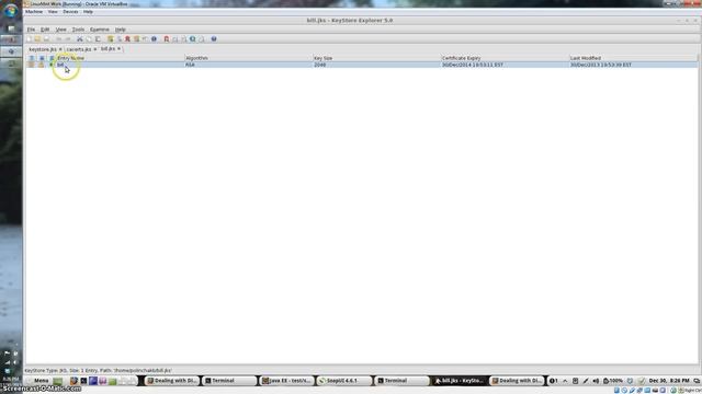 Dealing with Digital Certs смотреть онлайн