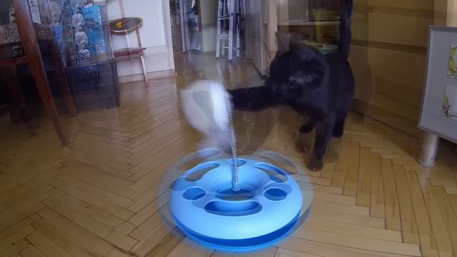 Игрушка для Кота | ПОСЫЛКА С ALIEXPRESS (unboxing)