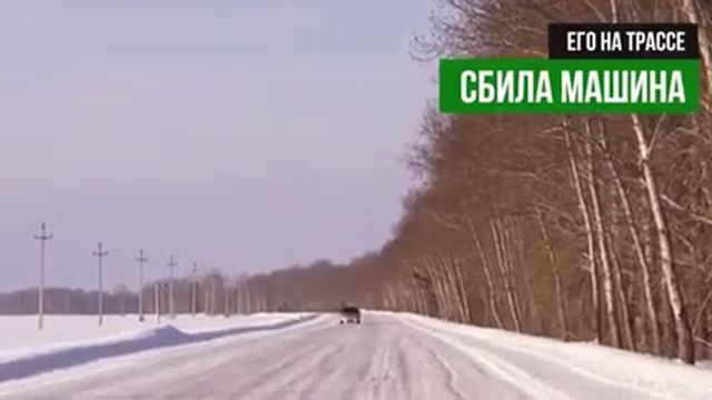 Трогательно. Русский Хатико смотреть онлайн