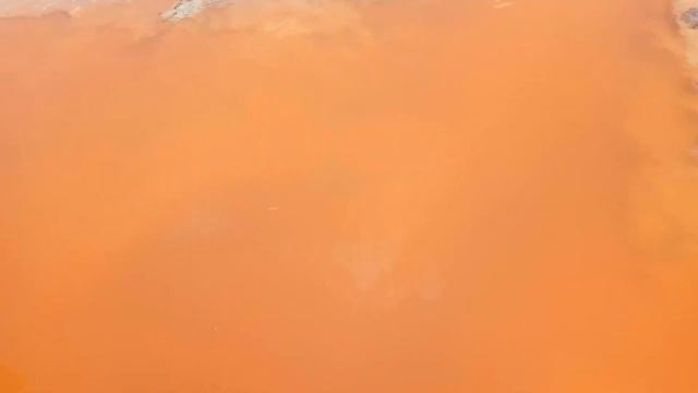 Пешком по Кинбурну. Часть 1. Орхидеи, розовые озёра, соль, комары смотреть онлайн