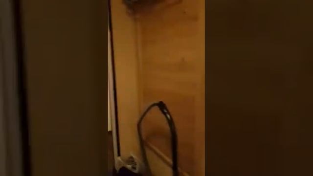 В аренду 1 комн кв в Долгопрудном смотреть онлайн