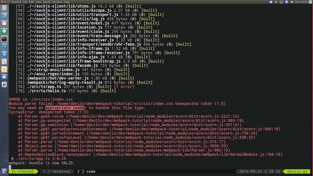 Webpack Tutorial - #15 - css e style loaders смотреть онлайн