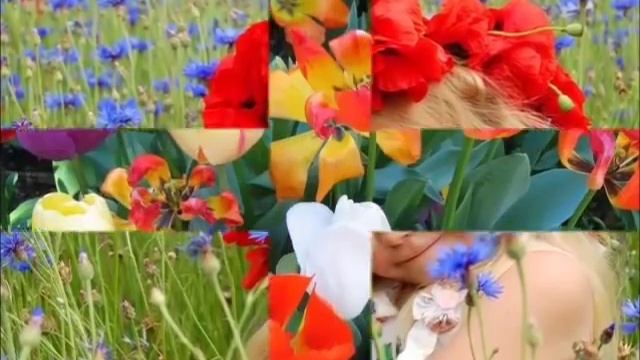 ПОЛЕВЫЕ ЦВЕТЫ И ТВОЯ ЛЮБОВЬ! смотреть онлайн