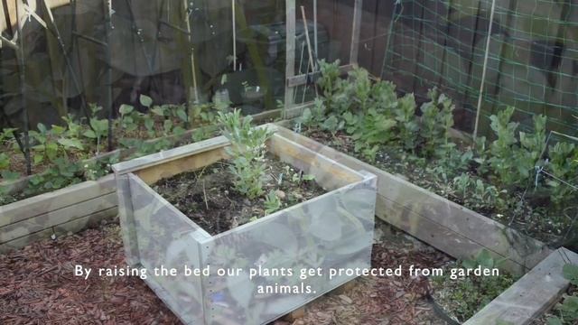 Victory Garden During Lockdown смотреть онлайн