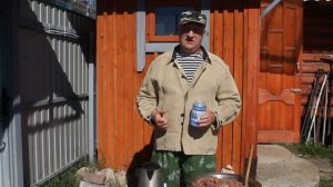 СОЛЬ - наиважнейший продукт в рационе кормления кур несушек.