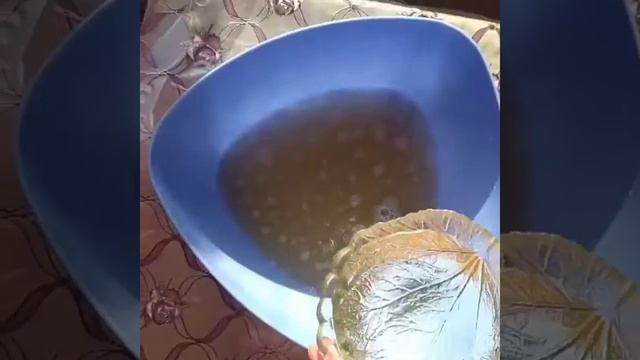 Бизнес-Советы и Инструкции