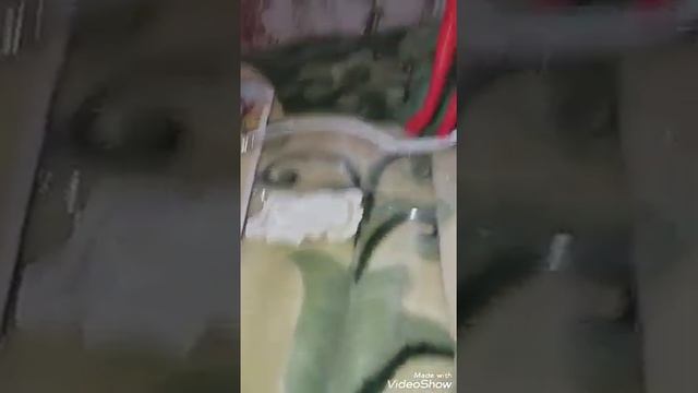 У меня первая кукла Варя ура! ура! ура! смотреть онлайн