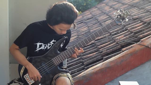 Bass Cover of Silence смотреть онлайн